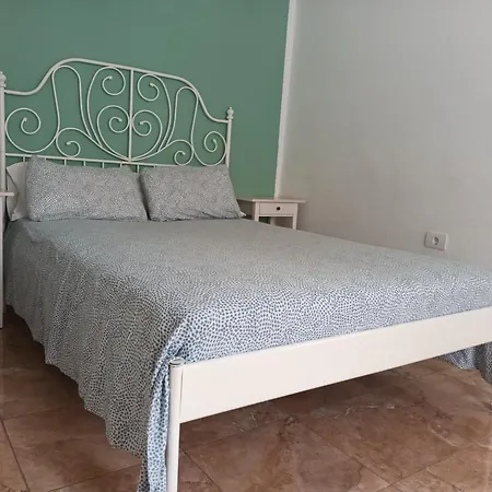 La Casa De Palmeras *