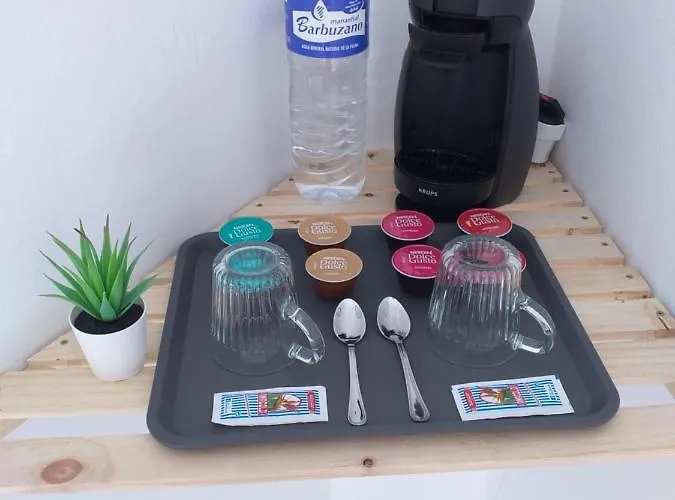 La Casa De Palmeras *